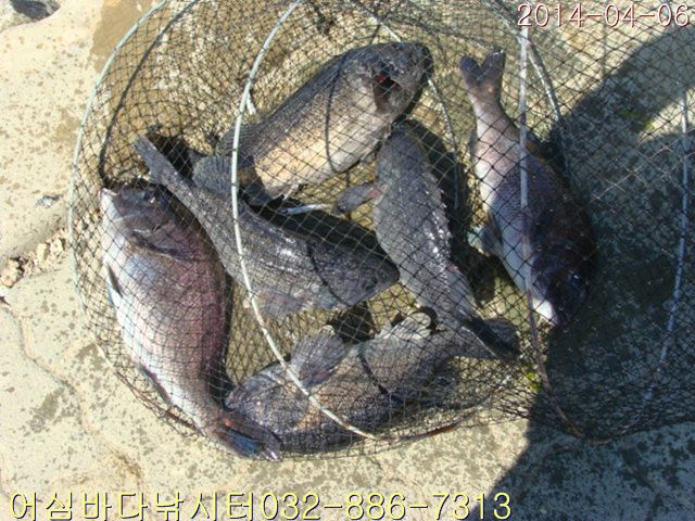 DSC00982.jpg