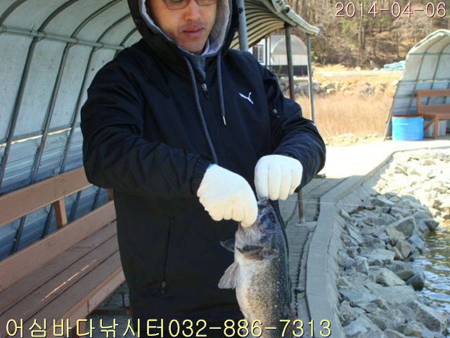 DSC00985.jpg