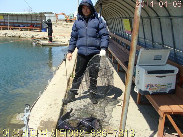 DSC00987.jpg