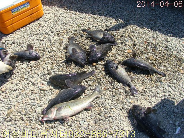 DSC00988.jpg
