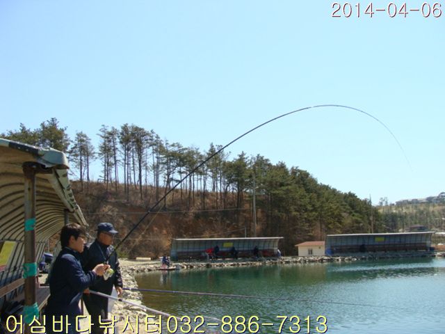 DSC00990.jpg