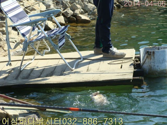DSC00992.jpg