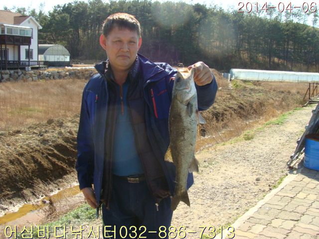 DSC01000.jpg
