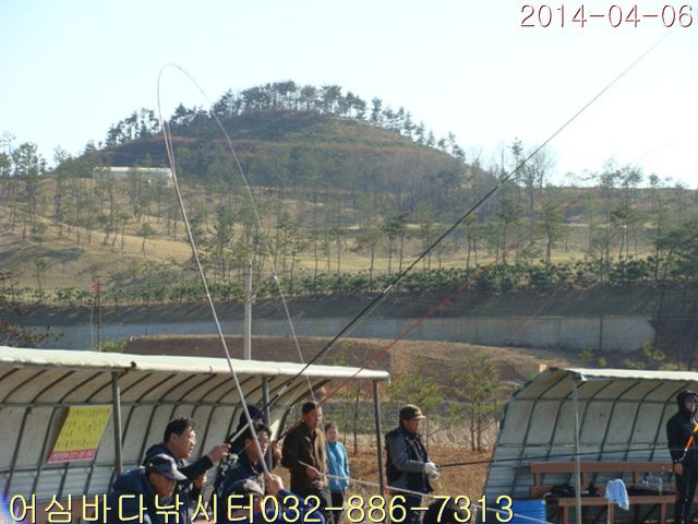 DSC01003.jpg