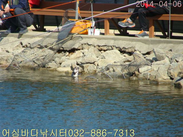 DSC01001.jpg