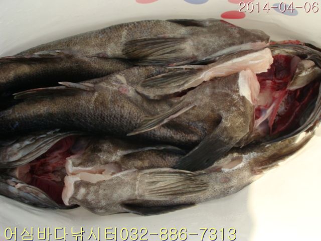 DSC01002.jpg