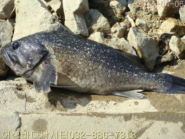 DSC01005.jpg
