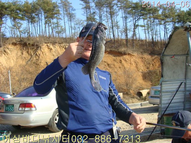 DSC01004.jpg