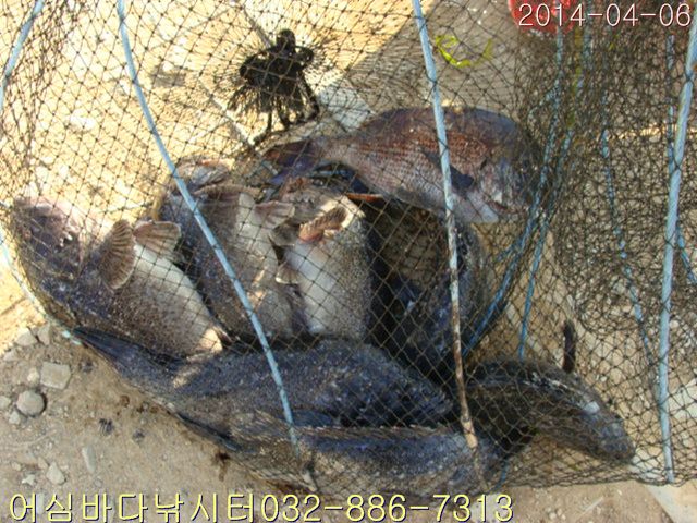 DSC01008.jpg