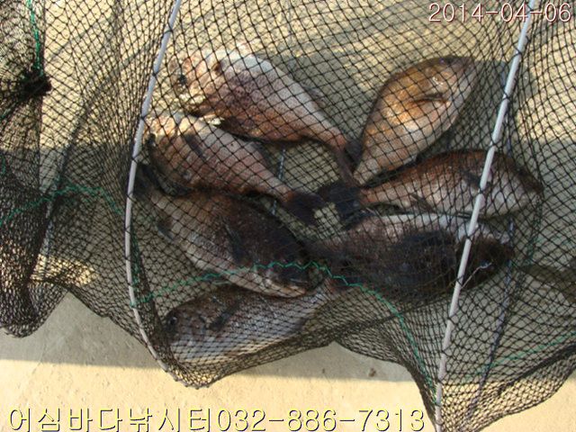 DSC01010.jpg