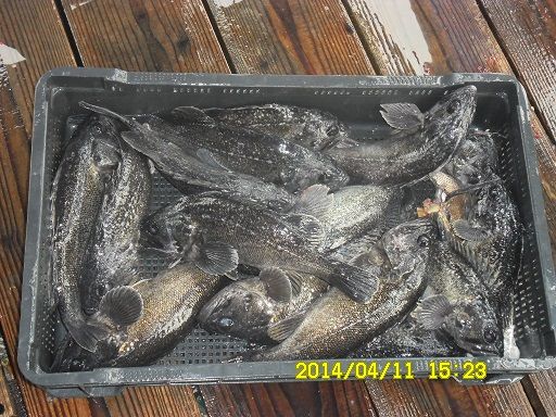 4�� 11�� 5.jpg