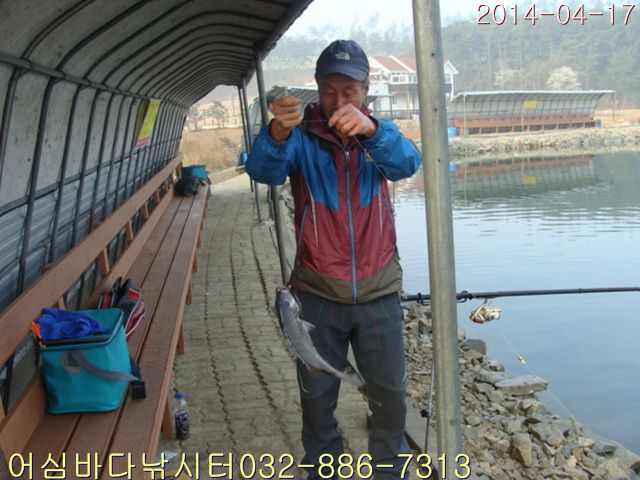 DSC01355.jpg