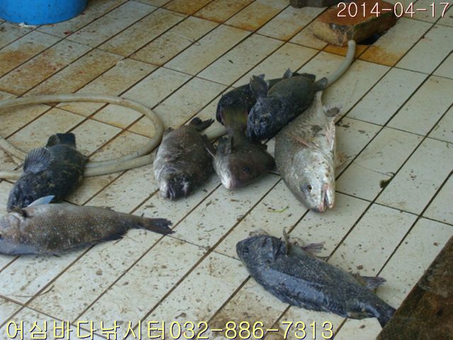 DSC01353.jpg