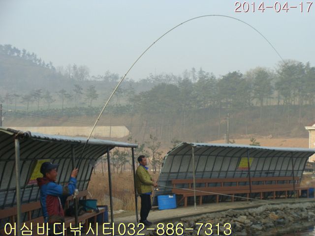 DSC01354.jpg