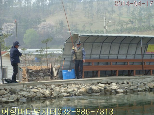 DSC01356.jpg