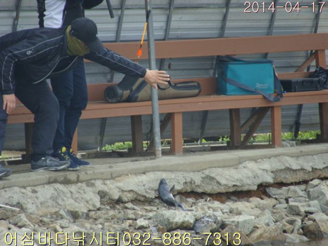 DSC01358.jpg