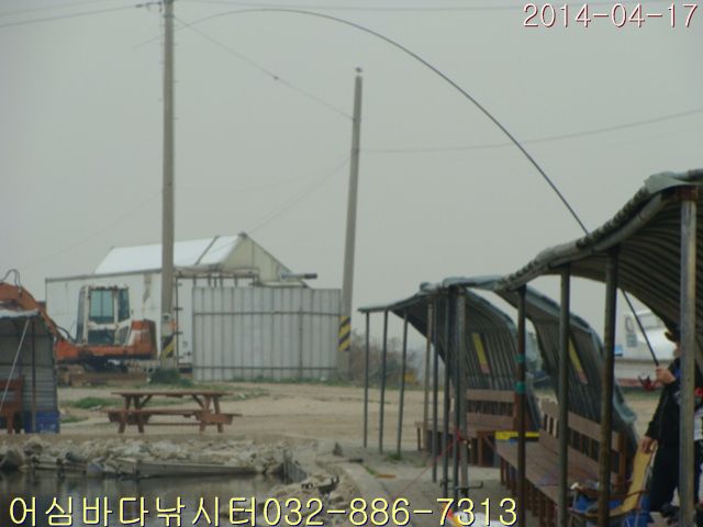 DSC01360.jpg