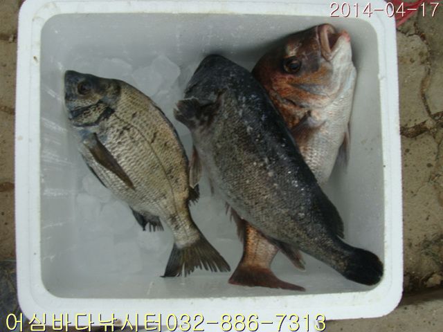 DSC01363.jpg