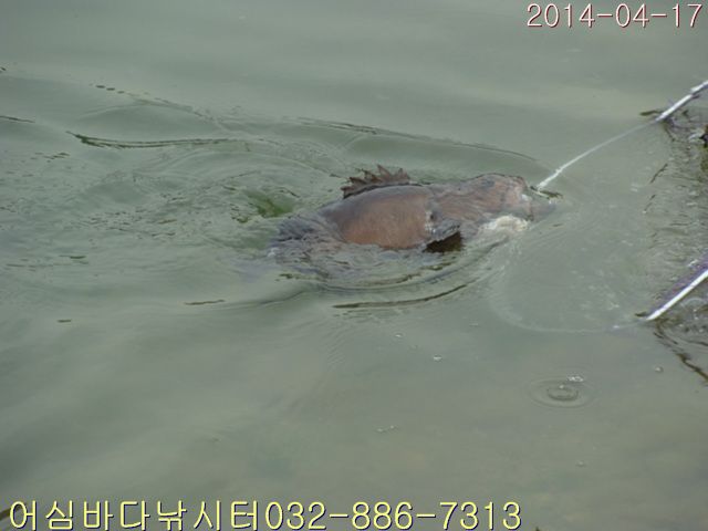 DSC01370.jpg