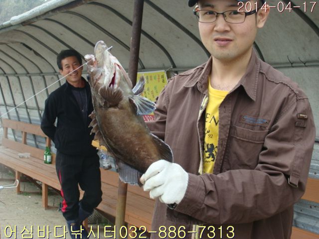DSC01371.jpg