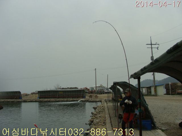 DSC01372.jpg
