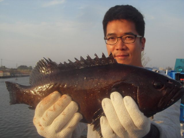 SDC13943.JPG