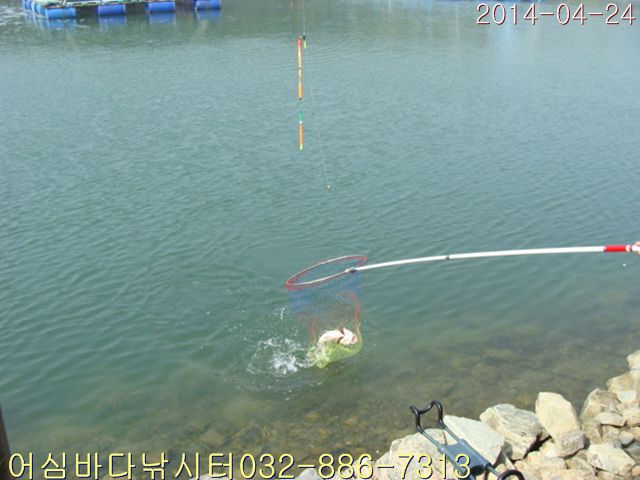 ����2 003.jpg