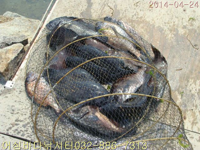 ����2 011.jpg