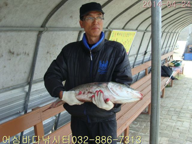 ����2 009.jpg