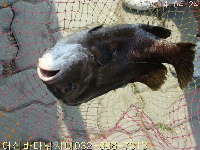 ����2 010.jpg