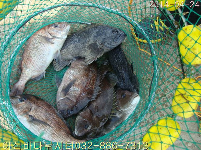 ����2 015.jpg