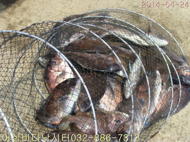 ����2 017.jpg