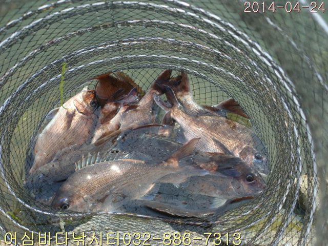 ����2 016.jpg