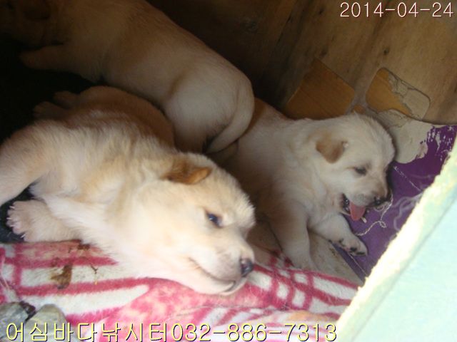 ����2 019.jpg