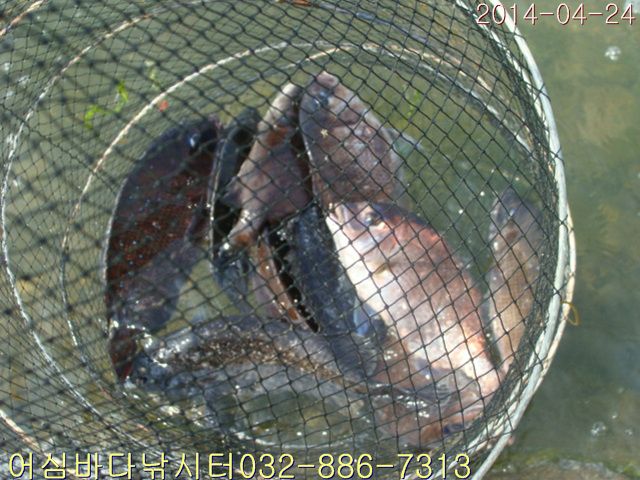 ����2 025.jpg