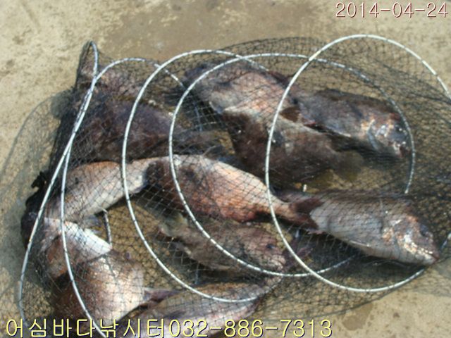 ����2 027.jpg