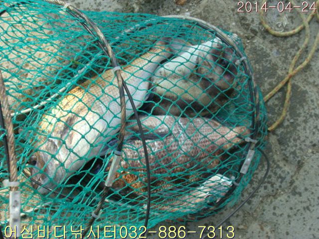 ����2 026.jpg