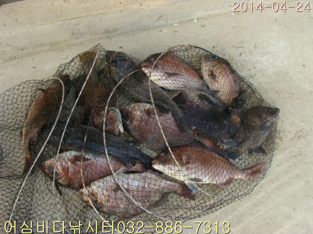 ����2 032.jpg