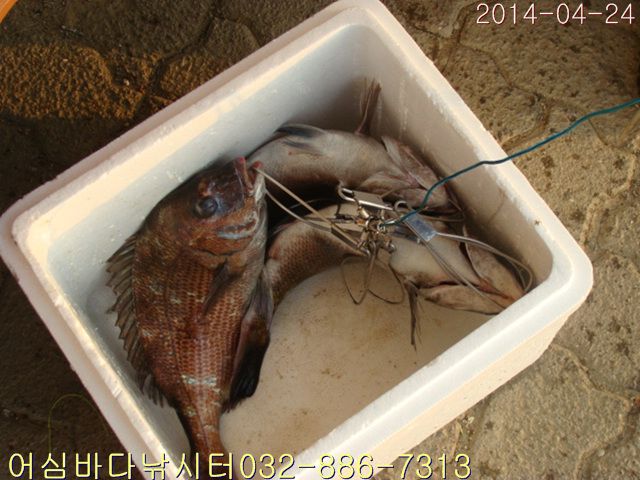 ����2 034.jpg