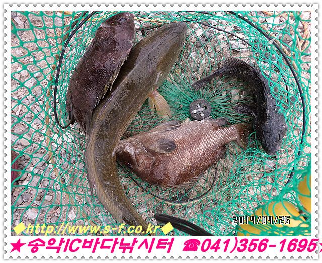 35.jpg