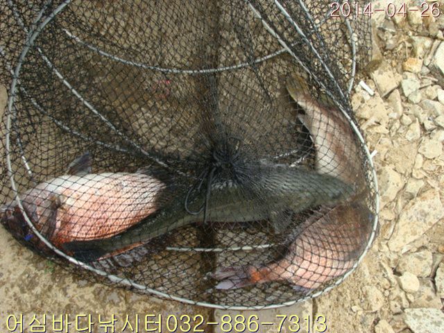 ����2 002.jpg