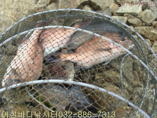 ����2 006.jpg