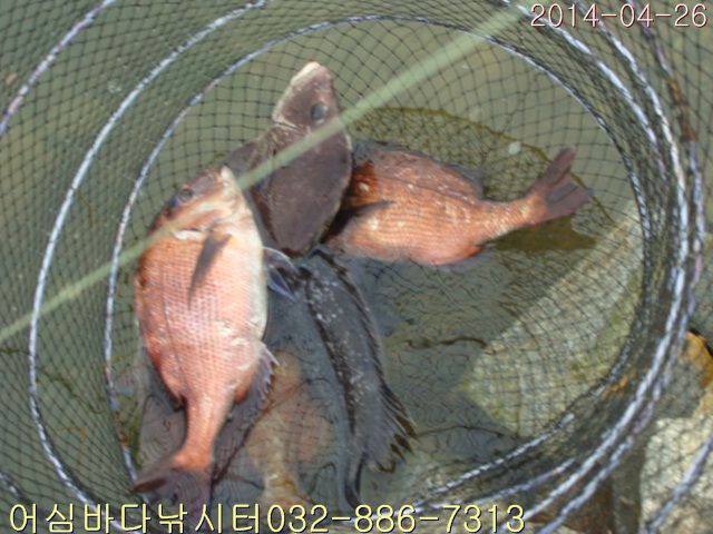 ����2 010.jpg