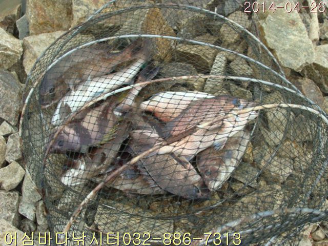 ����2 016.jpg