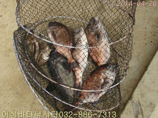 ����2 018.jpg