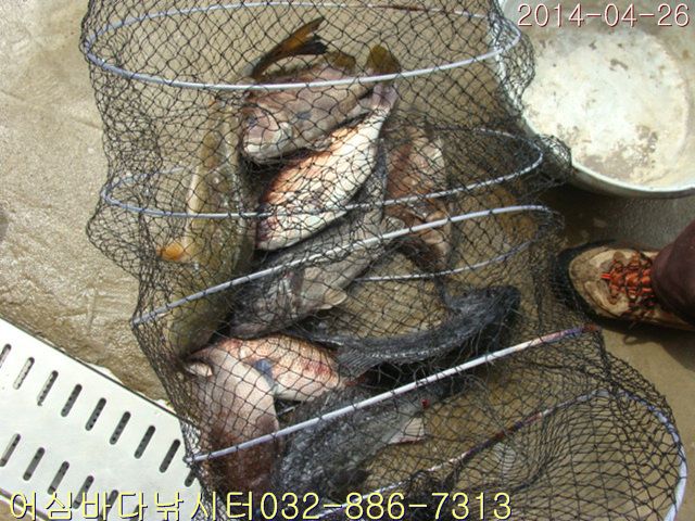 ����2 021.jpg