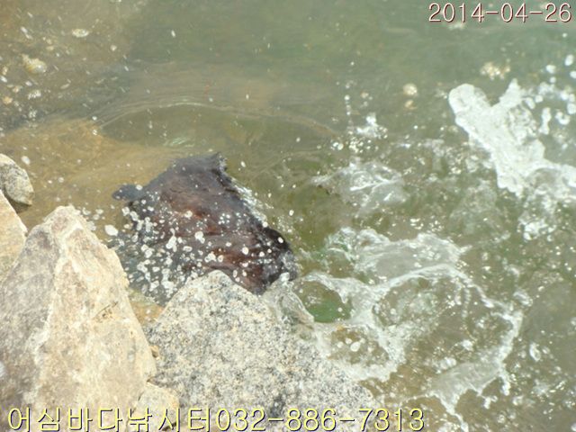 ����2 023.jpg