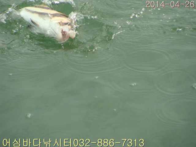 ����2 031.jpg