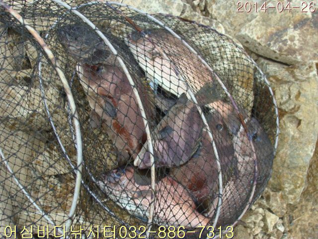 ����2 034.jpg