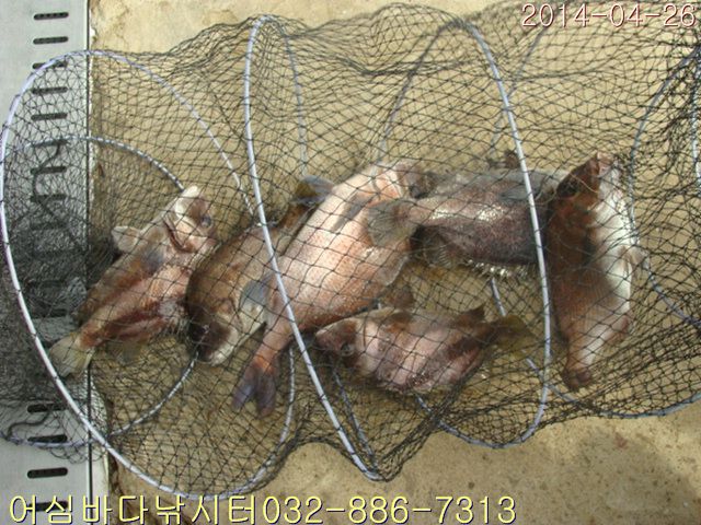 ����2 036.jpg